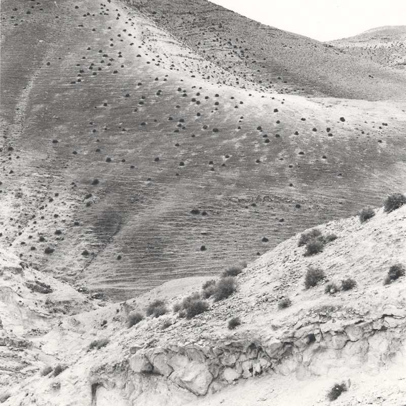 click to zoom Westbank, Israel